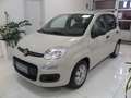 Fiat Panda 1.2 Easy 69cv E6  "Ottime CONDIZIONI!!!" Beige - thumbnail 1