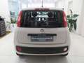Fiat Panda 1.2 Easy 69cv E6  "Ottime CONDIZIONI!!!" Beige - thumbnail 5