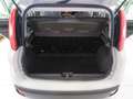 Fiat Panda 1.2 Easy 69cv E6  "Ottime CONDIZIONI!!!" Beige - thumbnail 9