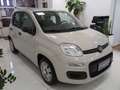 Fiat Panda 1.2 Easy 69cv E6  "Ottime CONDIZIONI!!!" Beige - thumbnail 3