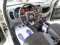 Fiat Panda 1.2 Easy 69cv E6  "Ottime CONDIZIONI!!!" Beige - thumbnail 12
