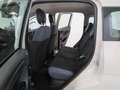 Fiat Panda 1.2 Easy 69cv E6  "Ottime CONDIZIONI!!!" Beige - thumbnail 10