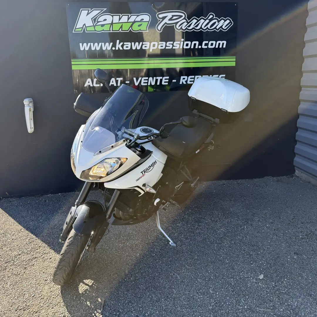Triumph Tiger 1050 Weiß - 1