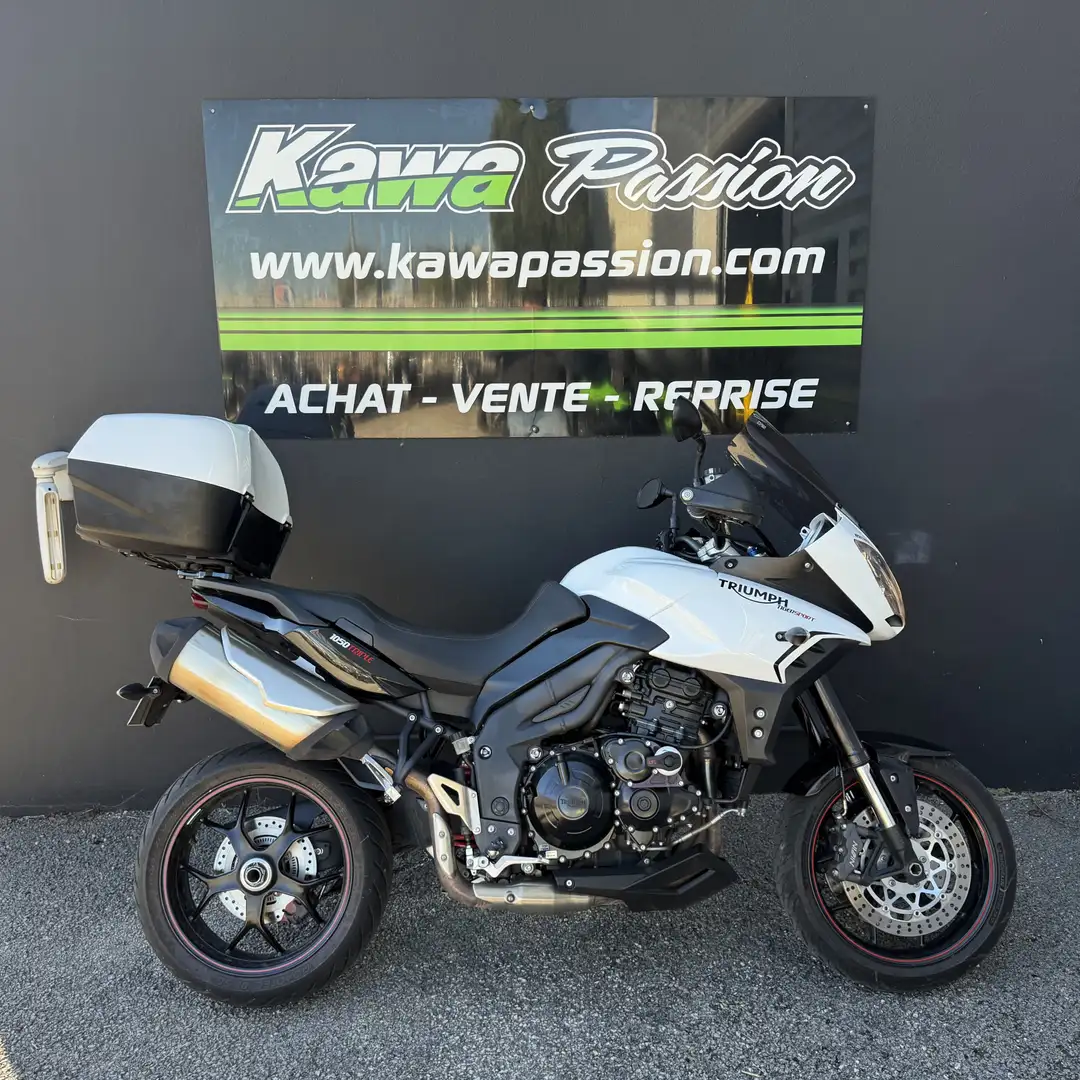 Triumph Tiger 1050 Weiß - 2
