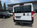Fiat Ducato 30 L1H1 140 Panorama Weiß - thumbnail 7