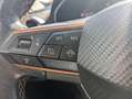 CUPRA Formentor 2.0 TDI 110 kW Gris - thumbnail 24