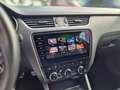 Skoda Octavia Skoda Octavia Combi RS 60 DSG Virtual / Columbus Grau - thumbnail 23