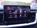 Kia Stonic Stonic 1.2 DPI Urban Rouge - thumbnail 16
