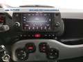 Fiat Panda 1.0 hybrid s&s 70cv Grigio - thumbnail 12