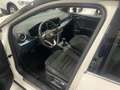 SEAT Arona Arona 1.0 ecotsi Xperience 110cv dsg Blanc - thumbnail 8