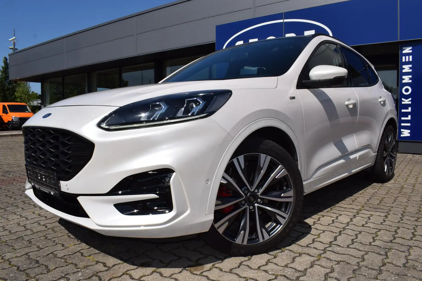 Ford Kuga ST-Line X FHEV 4x2 ACC LED DACH TWA Wit - 1