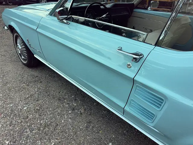 Ford Mustang view 11