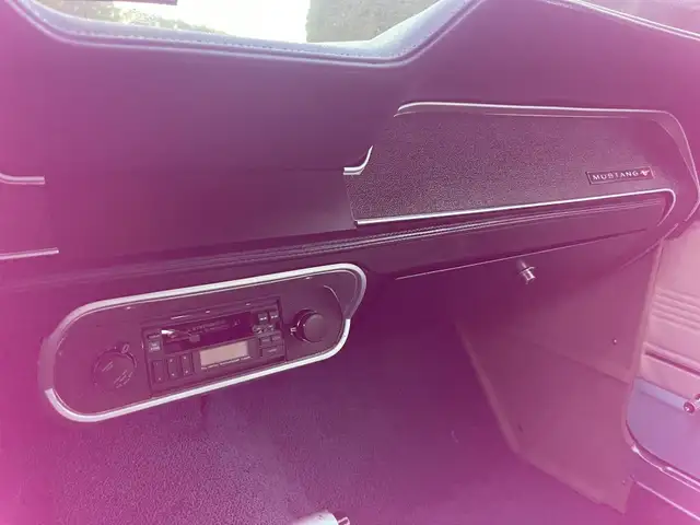 Ford Mustang view 13