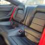 Ford Mustang Mustang Convertible 5.0 ti-vct V8 GT 421cv Roşu - thumbnail 9