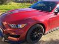 Ford Mustang Mustang Convertible 5.0 ti-vct V8 GT 421cv Roşu - thumbnail 3