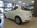 Fiat Punto 1.3Mjt Easy E5+ Biały - thumbnail 10