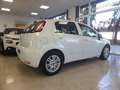 Fiat Punto 1.3Mjt Easy E5+ Biały - thumbnail 9