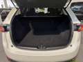 Mazda CX-5 CX-5 2.2L Skyactiv-D 150 CV 2WD Business Bianco - thumbnail 24