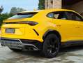 Lamborghini Urus Gelb - thumbnail 34
