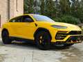 Lamborghini Urus Gelb - thumbnail 13