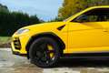 Lamborghini Urus Gelb - thumbnail 3