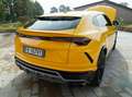 Lamborghini Urus Gelb - thumbnail 28