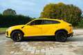Lamborghini Urus Gelb - thumbnail 2