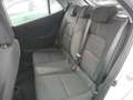 Kia Picanto Titan 1,0 67 Silber - thumbnail 10