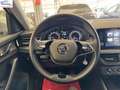Skoda Kamiq 1.0 TSI 110 CV Ambition Grigio - thumbnail 11