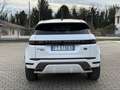 Land Rover Range Rover Evoque Evoque 2.0d mhev R-Dynamic SE awd/ IVA ESPOSTA Bianco - thumbnail 6