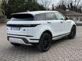 Land Rover Range Rover Evoque Evoque 2.0d mhev R-Dynamic SE awd/ IVA ESPOSTA Bianco - thumbnail 5