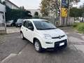 Fiat Panda 1.0 firefly hybrid City Life s Blanc - thumbnail 1