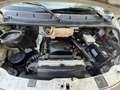 Iveco Daily*35C14*3,0 HPI*Doka-Maxi-Pritsche*3.5T Blanc - thumbnail 11