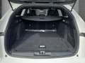Opel Astra GS Sports Tourer 1.2 T.Privacyverglasung,Schwarze Blanco - thumbnail 5