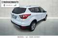 Ford Kuga 1.5 ecoboost Business s&s 2wd 120cv my18 Bianco - thumbnail 3