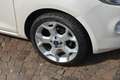 Ford Ka/Ka+ Ka II 3p 2009 Ka 1.2 Titanium c/esp,tcs 69cv E5 Bianco - thumbnail 7