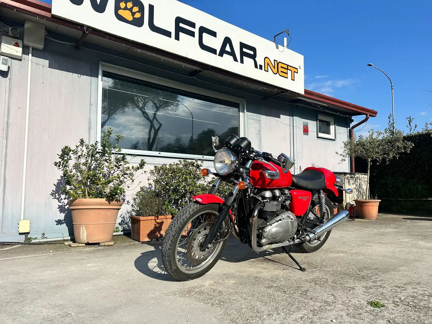Triumph Thruxton 900 6.000 km Rojo - 1