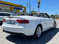 Audi A5 Cabriolet 1.8 TFSI/19TKM/1. Hand/S-Heft/Exclu Weiß - thumbnail 4