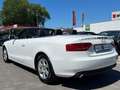 Audi A5 Cabriolet 1.8 TFSI/19TKM/1. Hand/S-Heft/Exclu Weiß - thumbnail 5