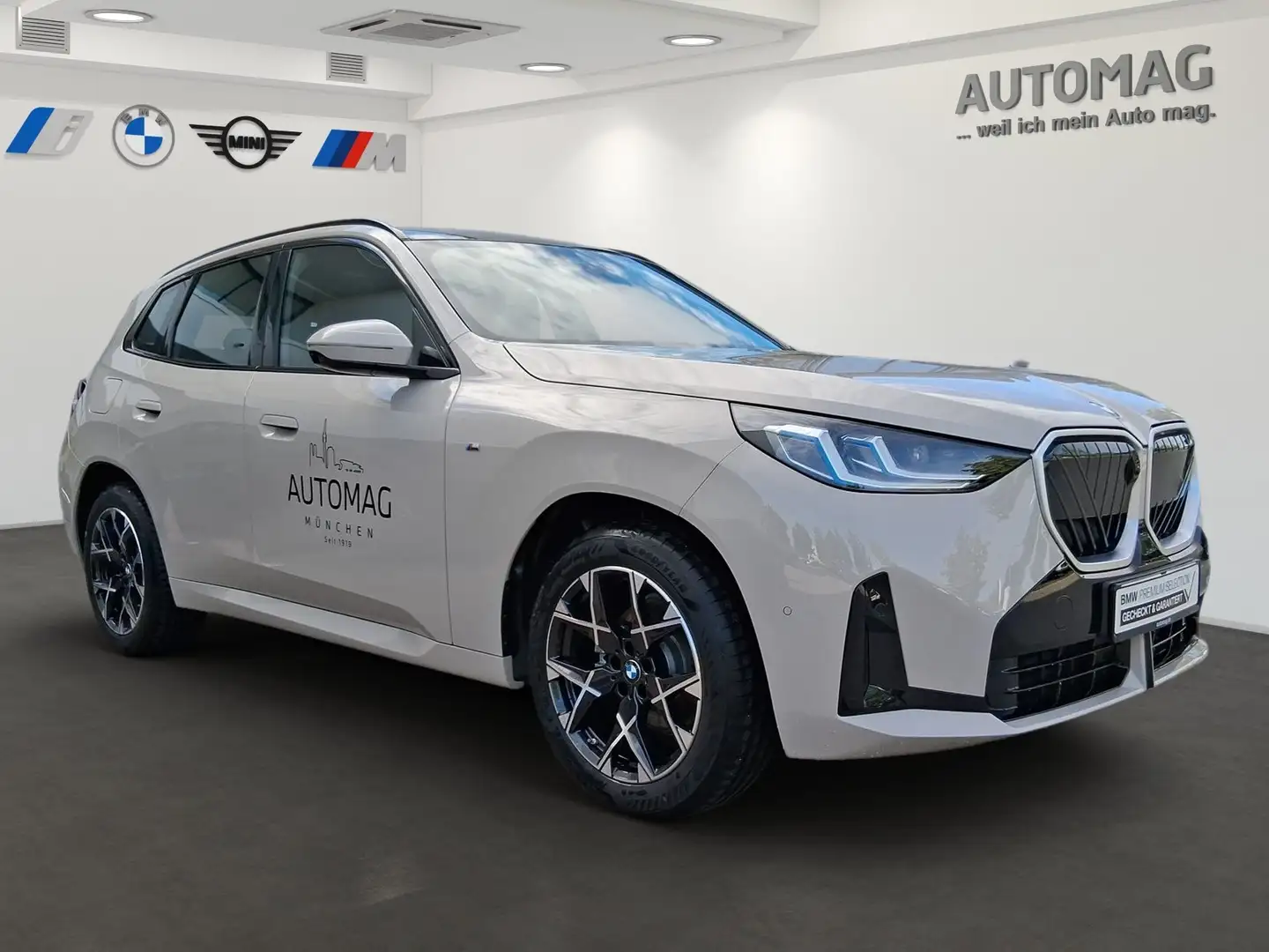 BMW X3 xDrive30e M-Sportpakrt*Driving Assist Plus*Innenra Grau - 2