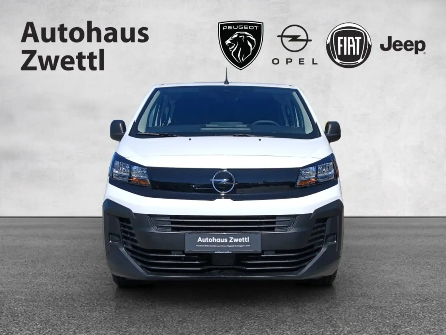 Opel Vivaro DK verschieb. Trennwand BHDI 145 Wit - 2