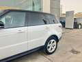 Land Rover Range Rover Sport 3.0D I6 MHEV HSE Aut. 300 Blanco - thumbnail 5