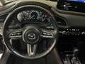 Mazda CX-30 Selection2.0 M Hybrid AWD Automatik AHK Kamera ACC Zwart - thumbnail 12