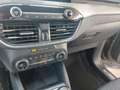 Ford Kuga 1.5 EcoBlue 120 CV 2WD Titanium Business Grigio - thumbnail 15