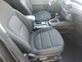 Ford Kuga 1.5 EcoBlue 120 CV 2WD Titanium Business Grigio - thumbnail 6