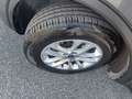 Ford Kuga 1.5 EcoBlue 120 CV 2WD Titanium Business Grigio - thumbnail 11
