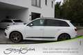 Audi SQ7 4.0 TDI quattro Allradl-Bose-Leder-PaDa-Air-LED-7S Weiß - thumbnail 1