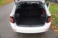 Skoda Fabia Combi 1.0 TSI Greentech 95pk Ambition Apple Carpla Blanc - thumbnail 26