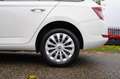 Skoda Fabia Combi 1.0 TSI Greentech 95pk Ambition Apple Carpla Blanc - thumbnail 21