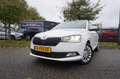 Skoda Fabia Combi 1.0 TSI Greentech 95pk Ambition Apple Carpla Blanc - thumbnail 35